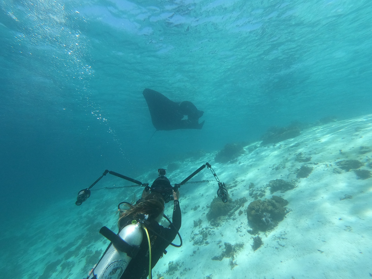 Indo Aggressor | Adventure Logs