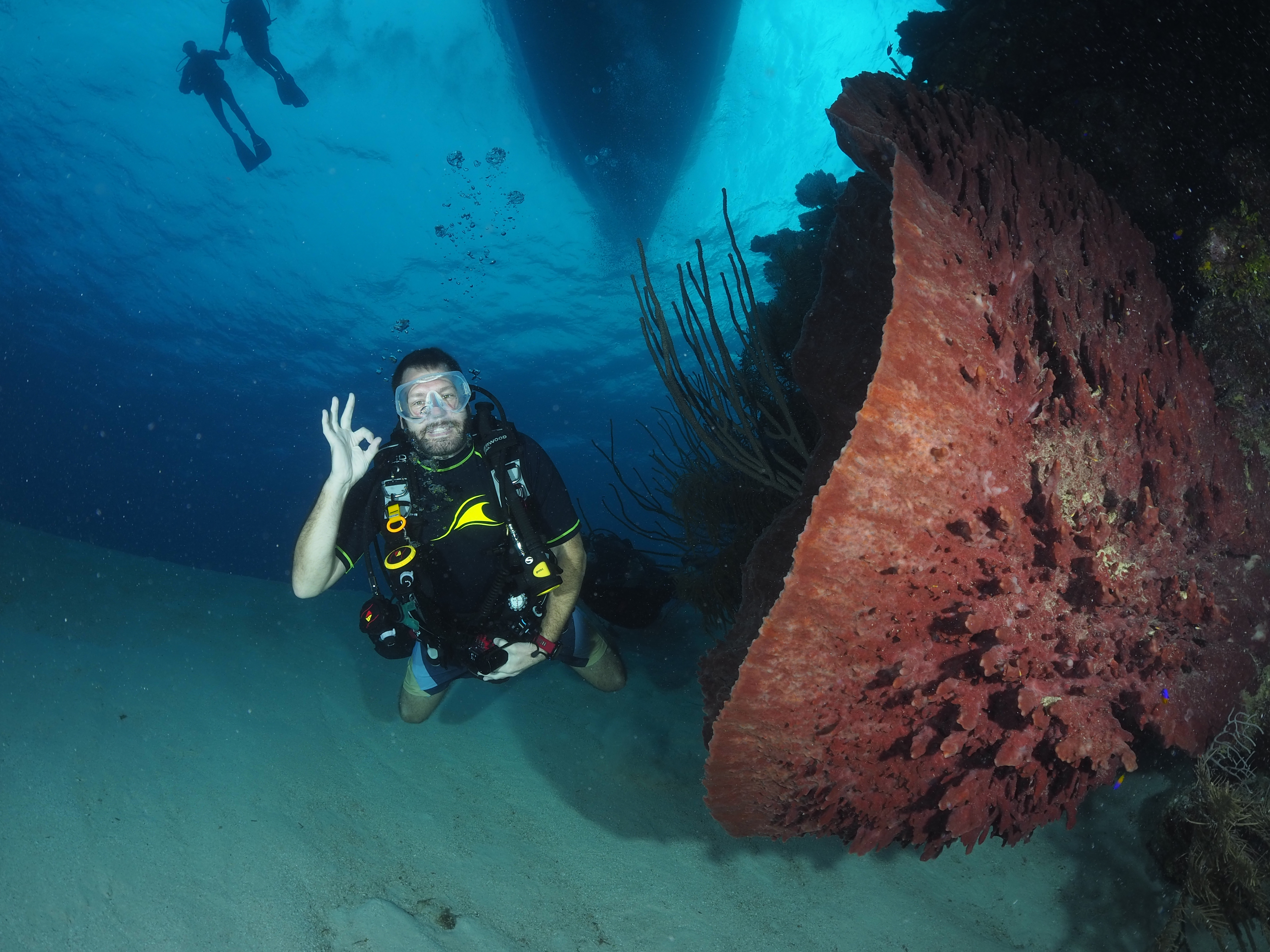 Belize Aggressor IV | Adventure Logs