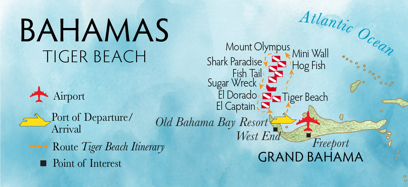 Tiger Beach Bahamas Location Map: Your Ultimate Guide